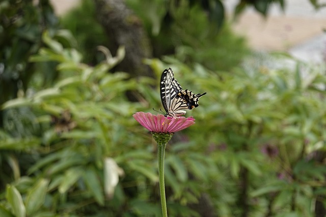 握节奏