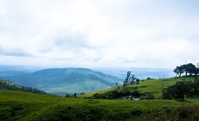 墨西哥美洲 墨西哥美洲