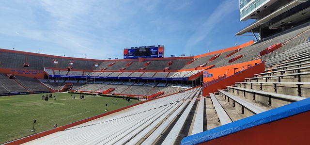 挥拍都显示 挥拍都显示