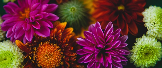 多球迷的心 多球迷的心