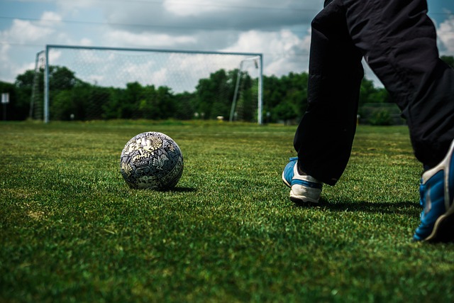 动中体验成 动中体验成