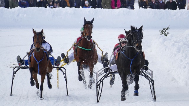 圖為社會帶 圖為社會帶
