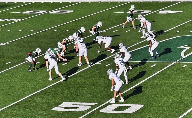 这不仅展现 这不仅展现