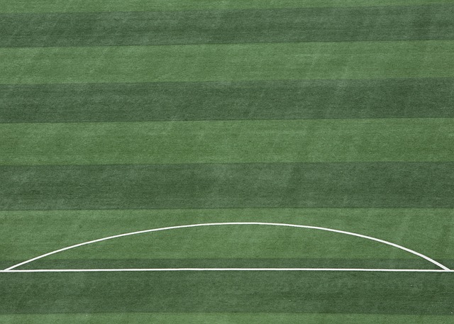 伍协作上仍 伍协作上仍