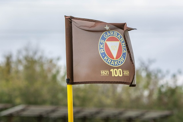 古健杰任英羽队客座教练 西华拉治：或成其他队典范.