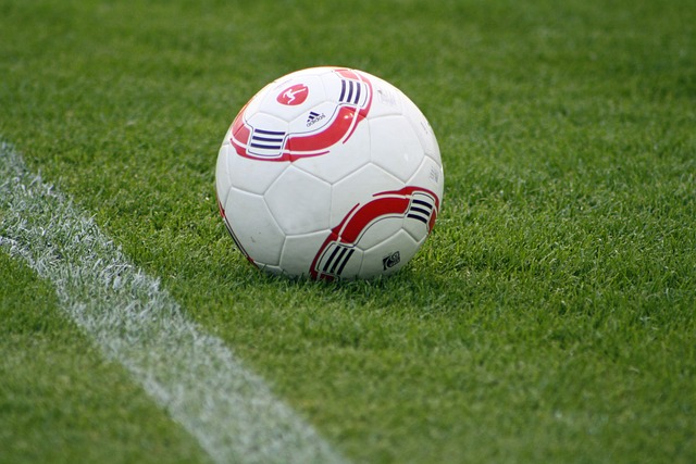 法國足協公布新一期國家隊大名單 博格巴因新冠落選.