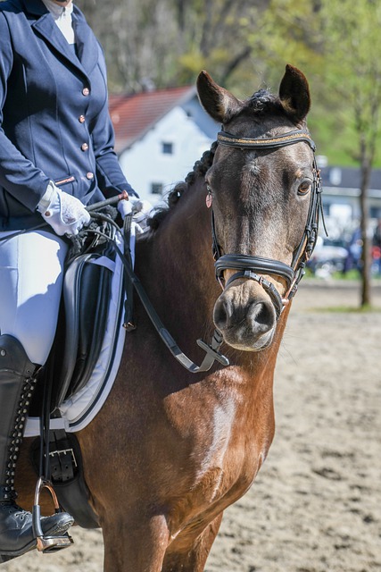 21岁卡马文加在皇马已经拿了8个大赛冠军，俱乐部荣誉全满贯.