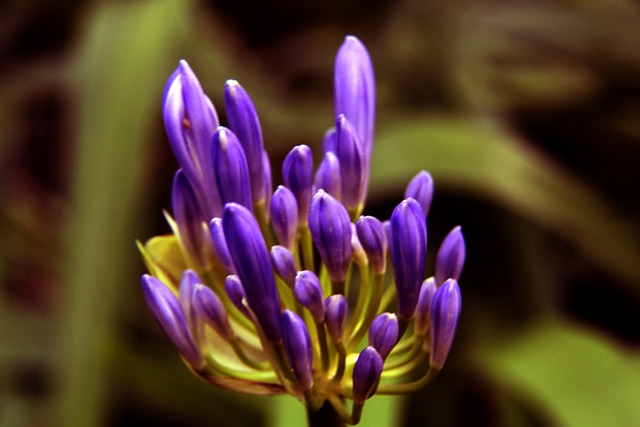 比赛回顾 比赛回顾